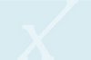 Dekoratives Platzhalter Bild mit Alexianer-X-Icon